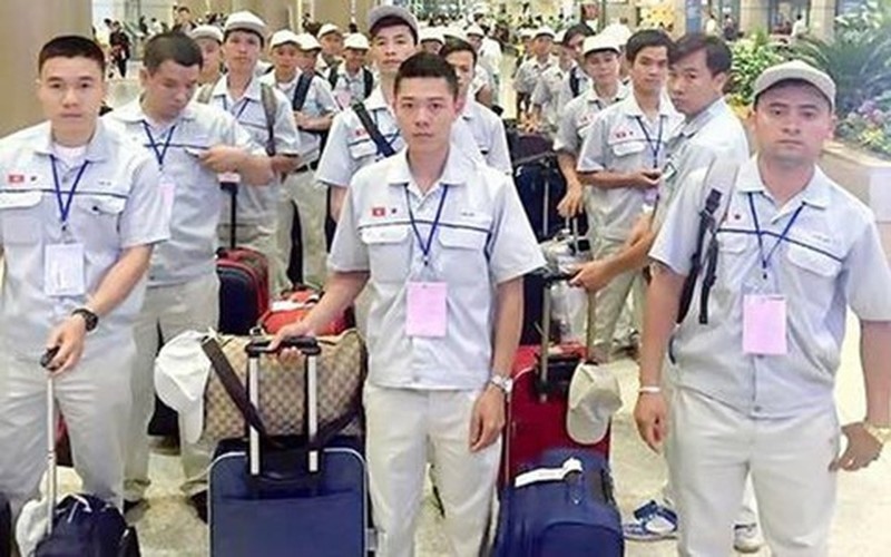 Vietnam to evacuate 226 guestworkers in distress from Uzbekistan